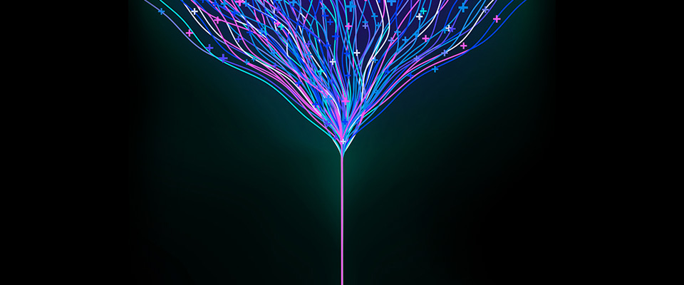 one size does not fit all